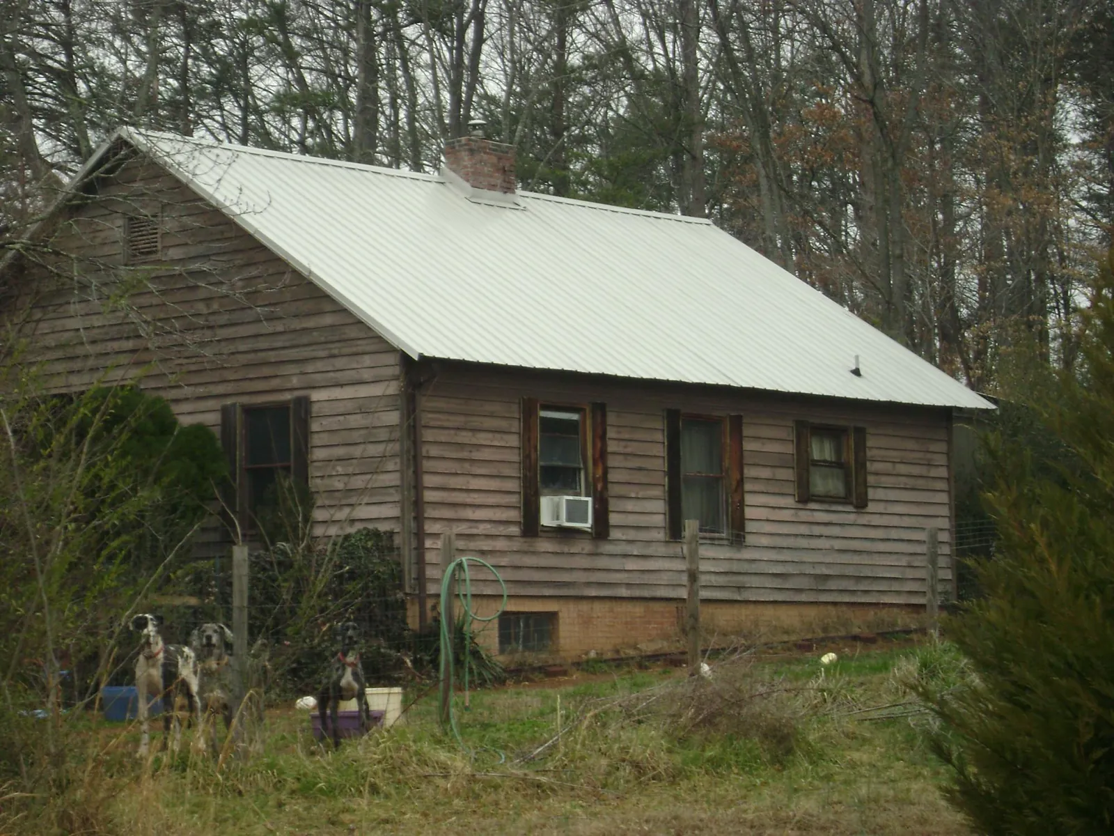 White metal roof on an old wood sided farmhouse, from a Metal Roof Installation job in Rohnert Park